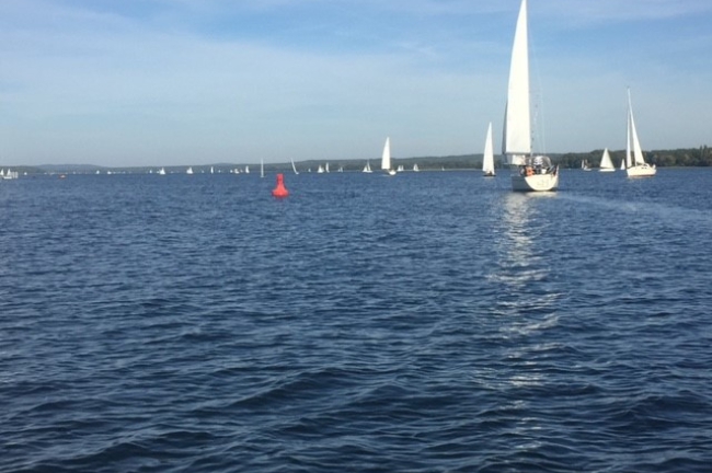 Segelregatta
