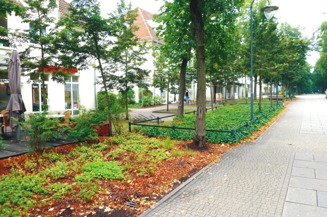 Zentrum von Bad Saarow