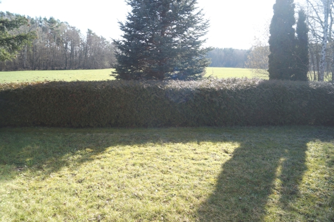 hintere Gartenfläche