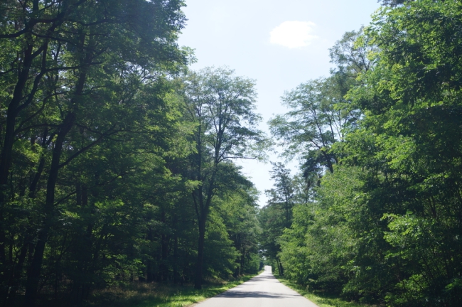 Straße nach Beeskow