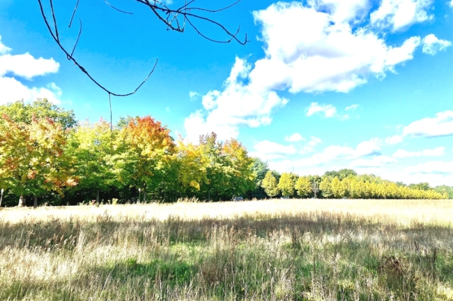 Bauland für Gewerbe