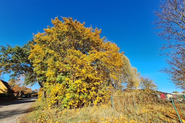 Blick auf das Grundstück
