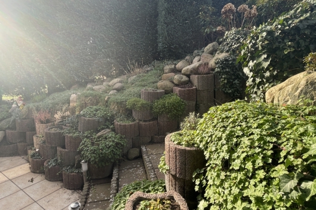 Hangbegrünung Garten