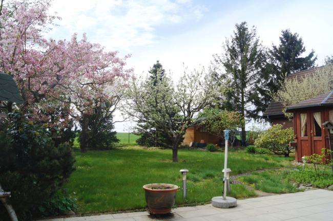 Blick in den Garten