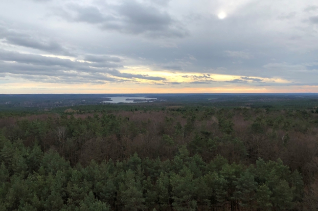 Blick vom Rauener Aussichtsturm