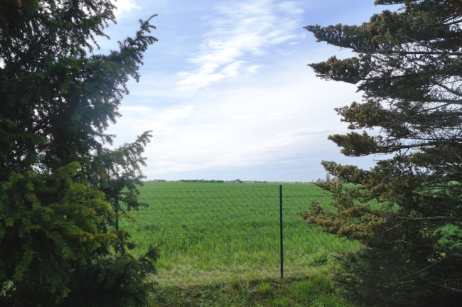 Blick auf angrenzendes Feld