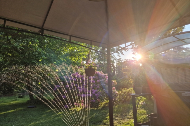 Pavillion Sommerimpression