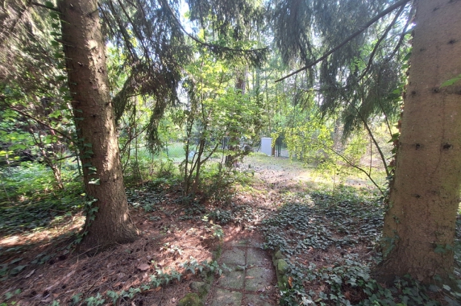 Blick von der Terrasse