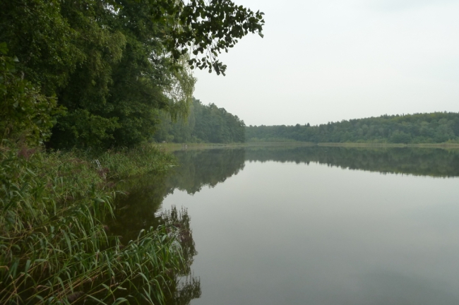 Blick auf den Göhlensee