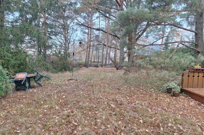 Blick auf das Grundstück