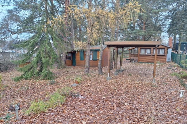 Blick auf das Grundstück mit Carport und Bungalows