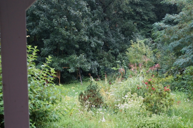 Blick von der Terrasse