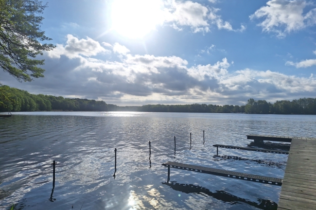 Blick auf den Schwielochsee